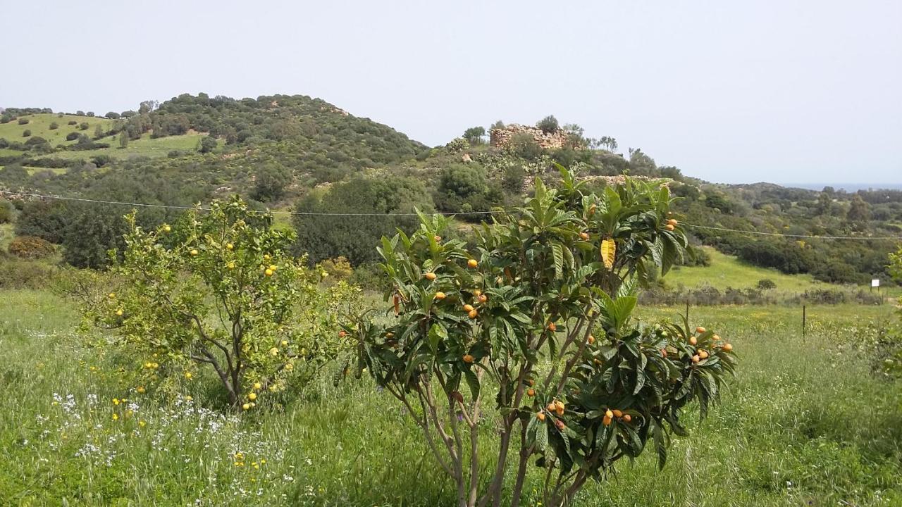 La Casetta Rosa Tertenìa Exterior foto